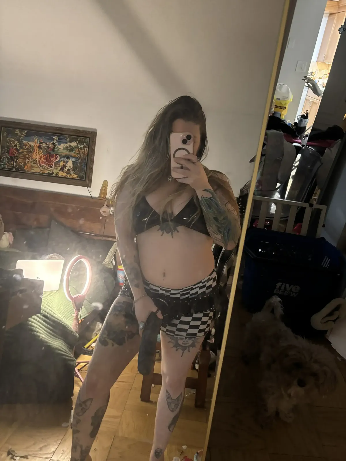 miso horny 2
